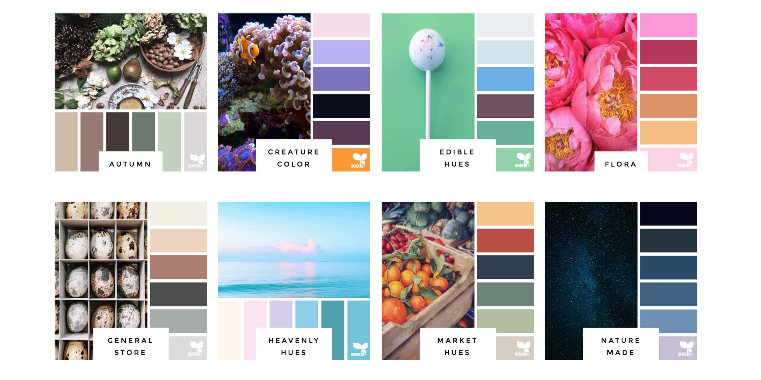 Design seeds color inspiration